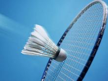 育活动提高 育活动提高