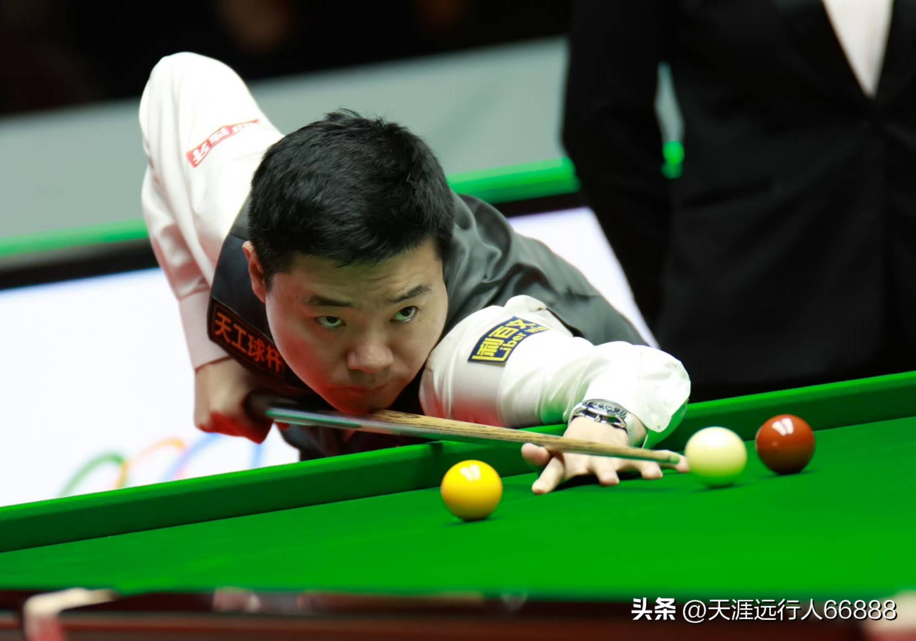 向来是备受 向来是备受