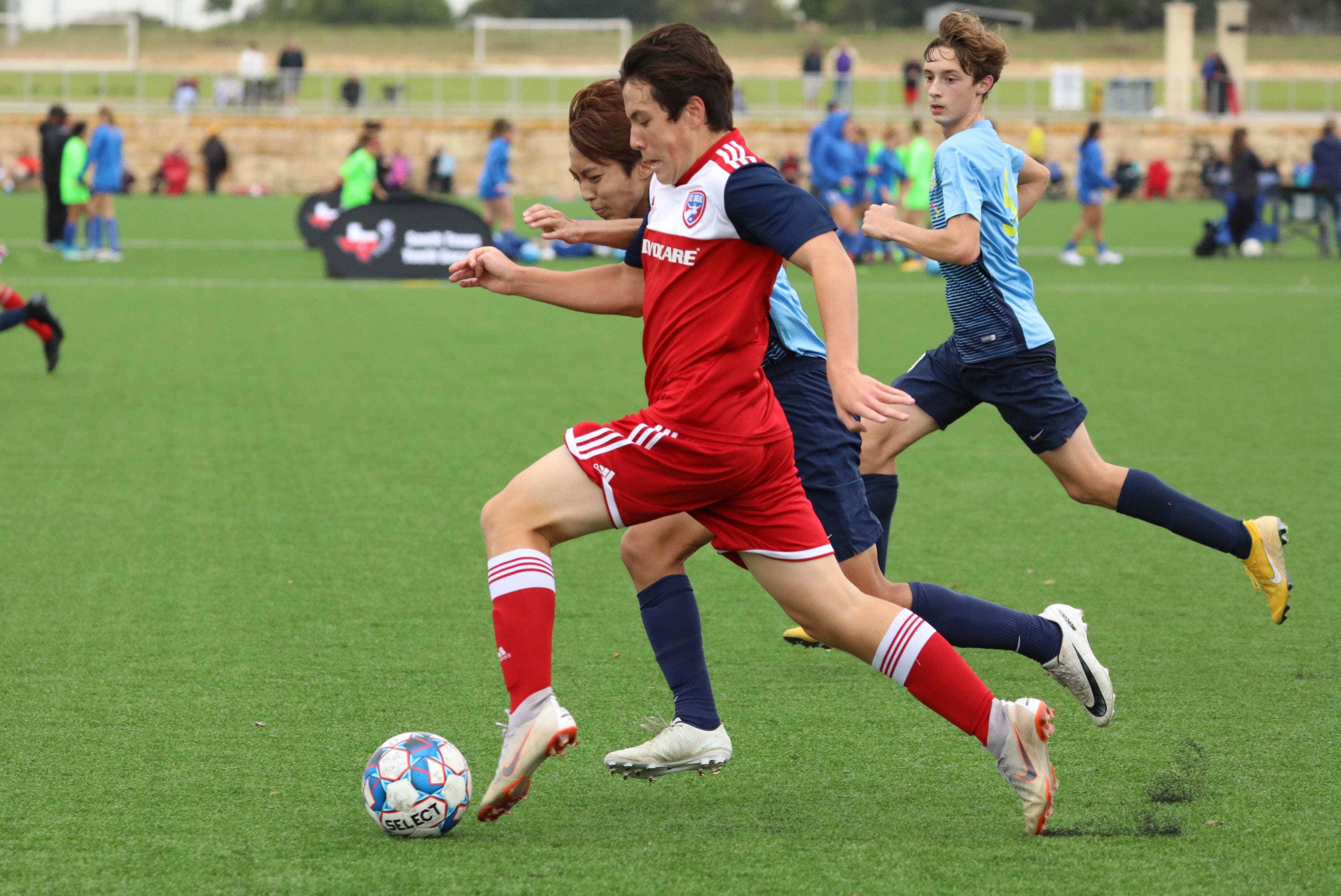 伤病管理 伤病管理